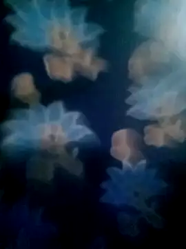 Snapshot of your_favourite_bhabhi chatting on November 2, 2025, 1:46 pm your favourite bhabhi online show from November 2, 2025, 1:46 pm