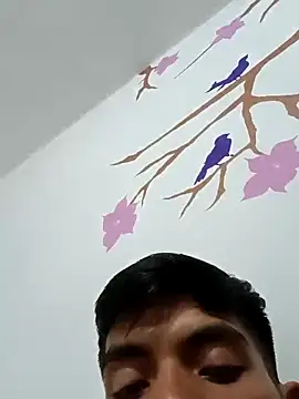 DavidVergagigante420 online show from October 29, 2025, 5:20 am