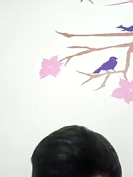 DavidVergagigante420 online show from February 9, 2026, 4:05 am