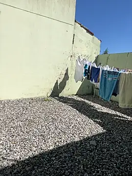 cat9269 online show from November 11, 2025, 5:57 pm