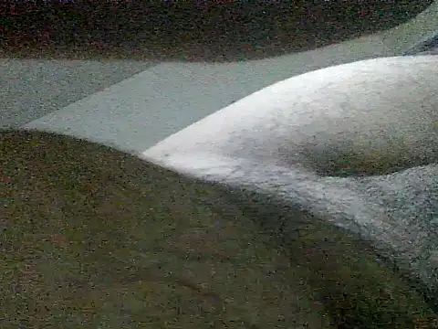 LuispingonX69 online show from May 25, 2026, 11:44 pm