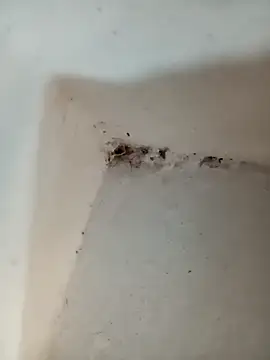 Punam jindal online show from October 7, 2025, 6:10 am