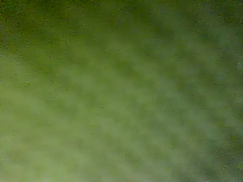 Snapshot of honestglacier9 chatting on October 17, 2025, 7:27 pm honestglacier9 online show from October 17, 2025, 7:27 pm