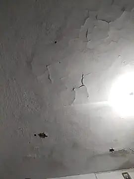 Ferxxxo1503 online show from November 8, 2025, 7:41 am