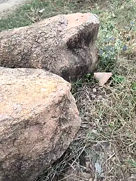 Snapshot of Ag_punam chatting on November 16, 2025, 10:43 am Ag punam online show from November 16, 2025, 10:43 am