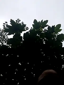 kemtuoi-sex online show from October 19, 2025, 11:05 pm