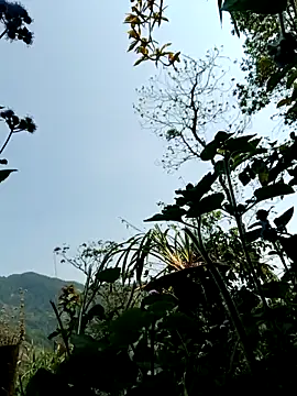 kemtuoi-sex online show from April 8, 2026, 3:17 am