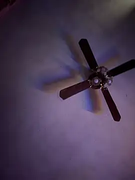 shortywidaphatty online show from April 15, 2026, 7:58 pm