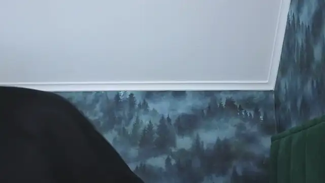 MarkShot  online show from November 20, 2025, 5:12 pm