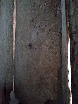 bonnie-00 online show from October 29, 2025, 11:28 pm