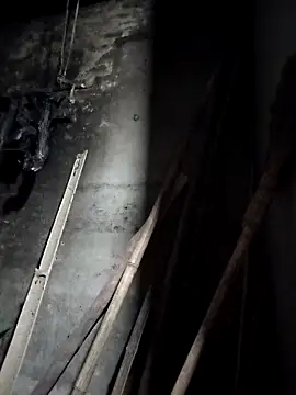 Dung x online show from March 23, 2026, 12:31 pm