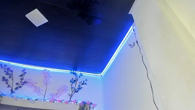 abbiecollins js online show from March 25, 2026, 4:51 am