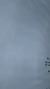 lulu5211 online show from October 26, 2025, 9:37 am