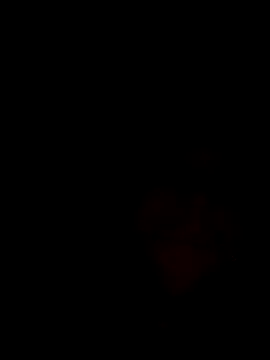 2Pietro3 online show from May 17, 2026, 9:22 pm