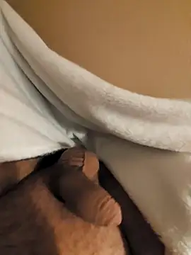 verjaya online show from November 15, 2025, 10:26 pm