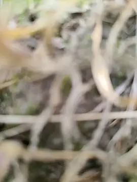 karandeep Bhagat online show from March 26, 2026, 10:43 am