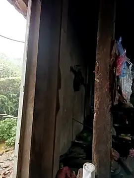 tulipsexy online show from October 16, 2025, 12:44 am