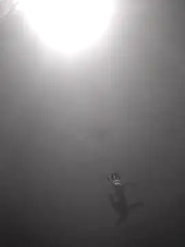 Snapshot of Hott_cutgirl chatting on October 16, 2025, 12:33 am Hott cutgirl online show from October 16, 2025, 12:33 am