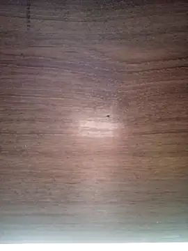 ValeriaLove43211 online show from December 17, 2025, 7:36 am