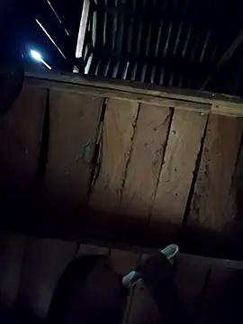 callistra online show from October 6, 2025, 8:23 am