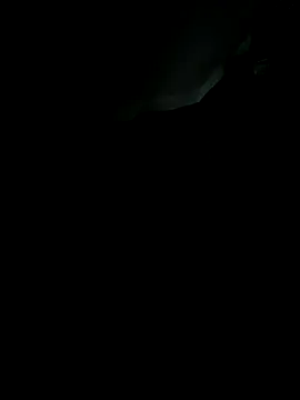 sebo801 online show from September 18, 2025, 5:31 am