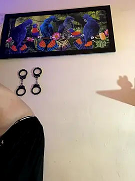 Matt your master  online show from October 27, 2025, 11:41 pm