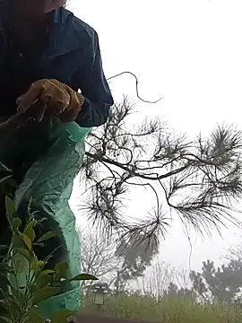 clara-cute online show from November 1, 2025, 12:34 am