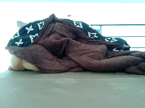 Snapshot of loveninja chatting on November 8, 2025, 6:13 am loveninja online show from November 8, 2025, 6:13 am