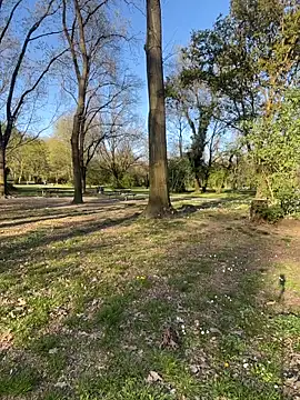 fioralba online show from March 27, 2026, 4:07 pm