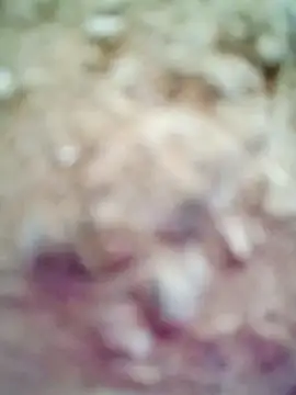 Snapshot of M-Kajal456 chatting on November 4, 2025, 3:49 am M-Kajal456 online show from November 4, 2025, 3:49 am