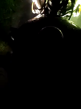 DICKLANKA online show from April 15, 2026, 2:13 pm