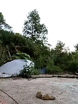 Suzuki see online show from October 11, 2025, 10:36 am