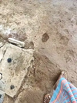 telugumodda4396 online show from October 27, 2025, 5:55 am