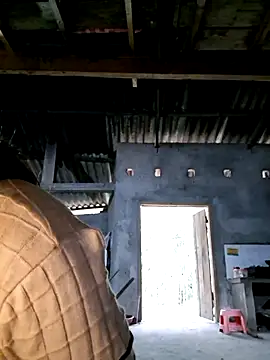 xuxulovezz online show from December 3, 2025, 12:18 am