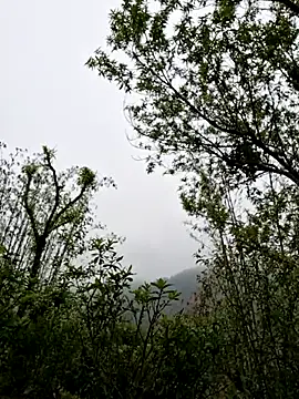 Snapshot of xuxulovezz chatting on April 1, 2026, 1:50 am xuxulovezz online show from April 1, 2026, 1:50 am