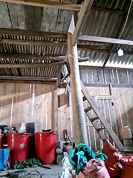 Snapshot of xuxulovezz chatting on April 4, 2026, 4:44 am xuxulovezz online show from April 4, 2026, 4:44 am