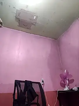 Snapshot of radiantbloom chatting on January 11, 2026, 6:07 am radiantbloom online show from January 11, 2026, 6:07 am