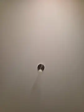 brunettebabexo3 online show from February 12, 2026, 5:52 pm