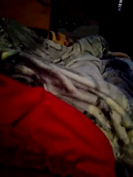 Snapshot of SALCEDO_041198 chatting on November 14, 2025, 11:42 am SALCEDO 041198 online show from November 14, 2025, 11:42 am