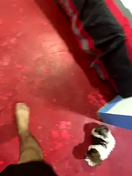 hot duo16 online show from October 29, 2025, 4:15 am