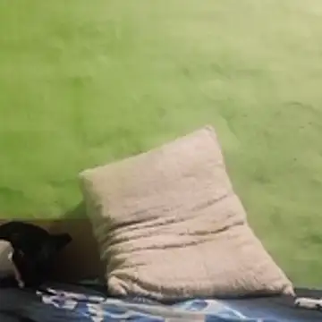 kaland69 online show from November 9, 2025, 9:24 pm