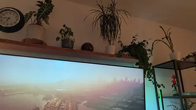 Passion-Frucht online show from November 21, 2025, 3:44 pm