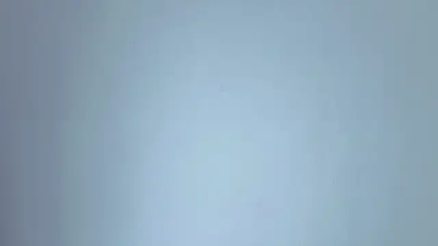 lissastone online show from November 15, 2025, 5:16 am