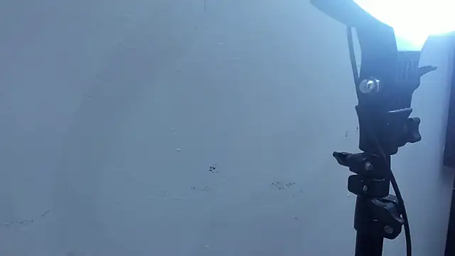 Kevinfox23cms online show from November 11, 2025, 6:46 am