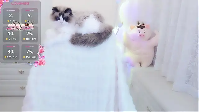 Coco-Di online show from May 9, 2026, 1:44 am