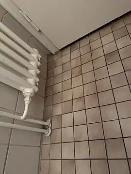 Snapshot of Penisbrutaldick chatting on March 2, 2025, 7:23 pm Penisbrutaldick online show from March 2, 2025, 7:23 pm