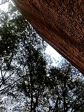 Rs sonam online show from December 15, 2025, 9:57 am