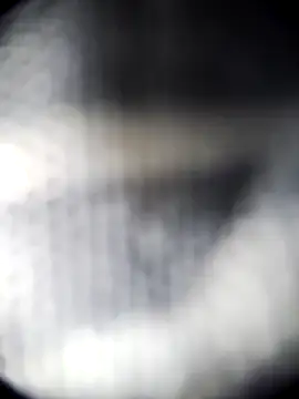 Blanquitakchera online show from December 21, 2025, 5:58 am