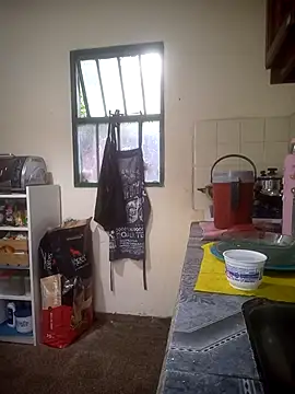 Arisbet333 online show from November 4, 2025, 9:03 pm