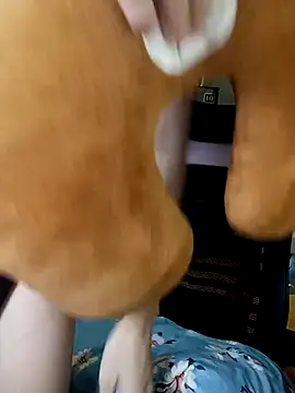 Snapshot of BiCute688 chatting on November 1, 2025, 4:31 pm BiCute688 online show from November 1, 2025, 4:31 pm